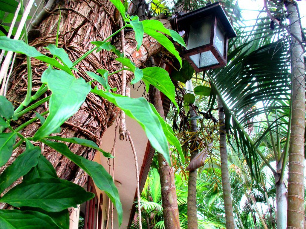 Happiness Resort Ban Khlong Haeng Exteriör bild